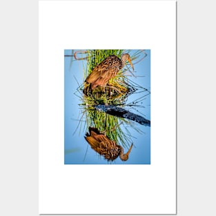 Brown Limpkin Posters and Art